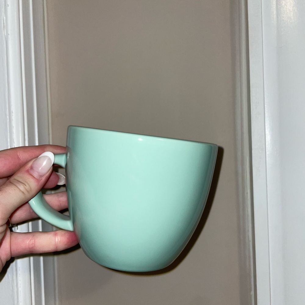 Chic Mint Green Mug